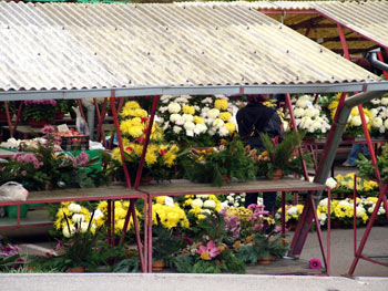 Maribor open market shopping